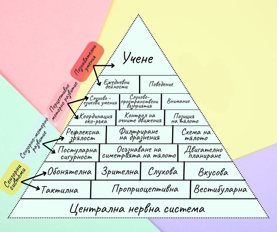 Йерархията на сензорните и моторните умения📈👆